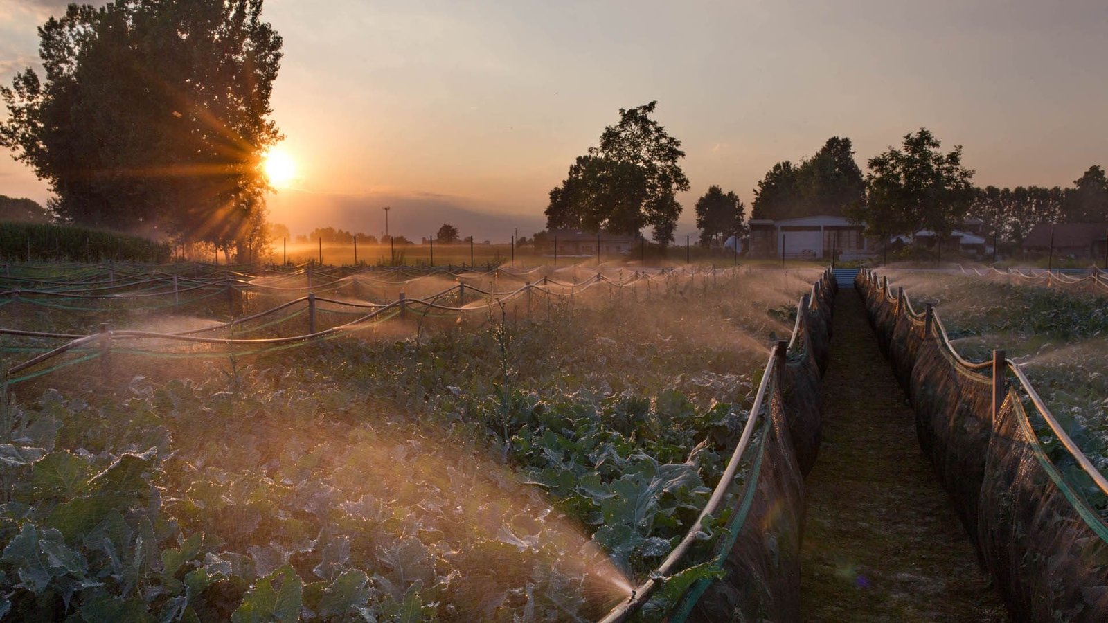 117936794_102767531551428_4383374380241059355_n