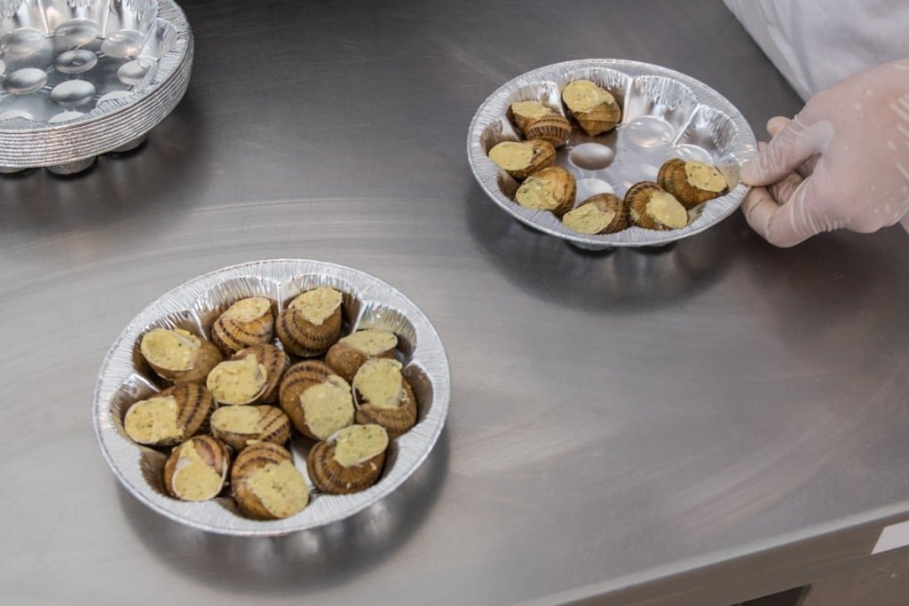 117939495_102767658218082_2586977119758633816_n