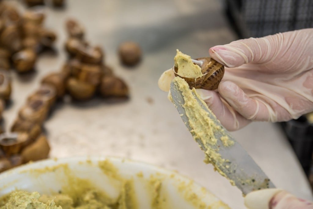 117951612_102767654884749_3563549151047388884_n