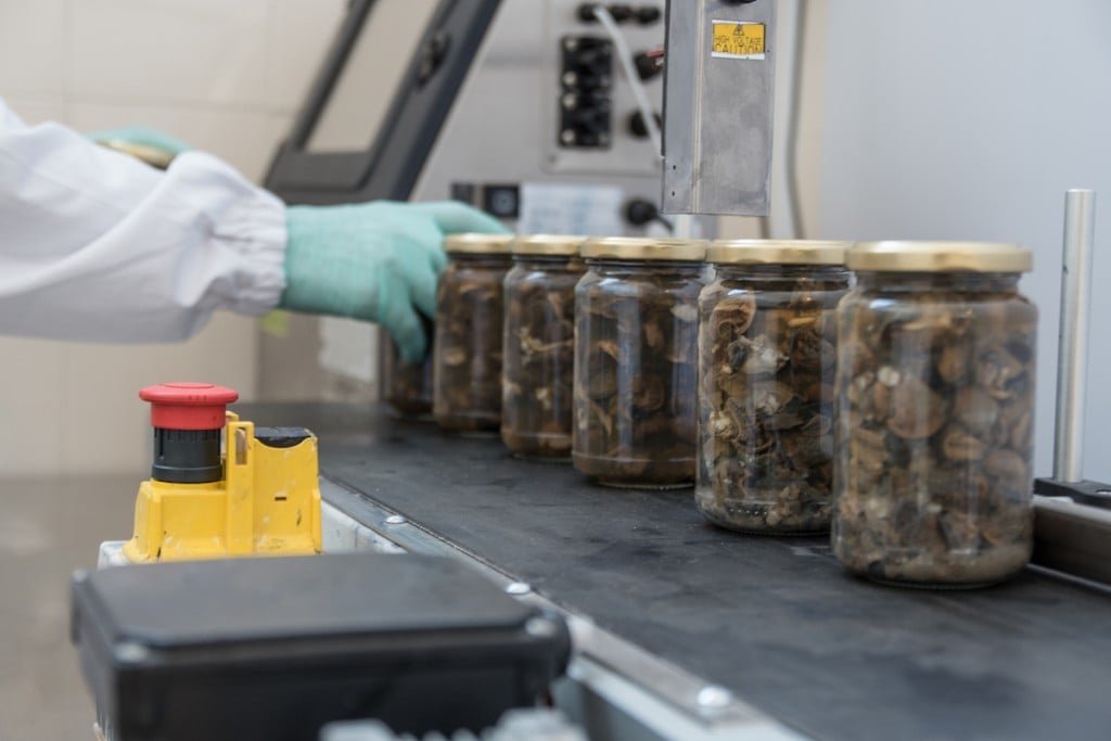 118143984_102767594884755_5503050816484358118_n