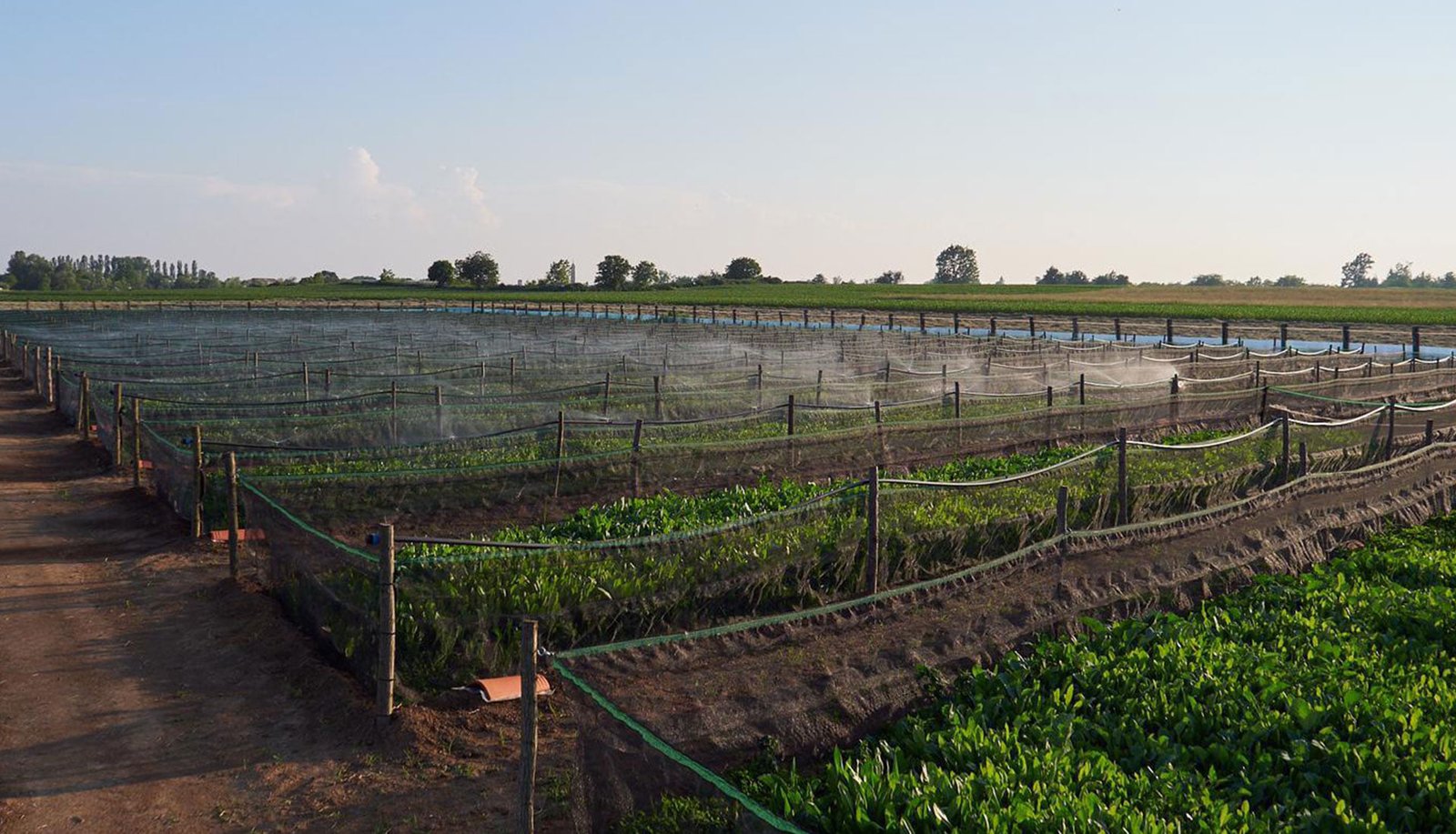 118501426_117194126775435_1253055403683910406_n