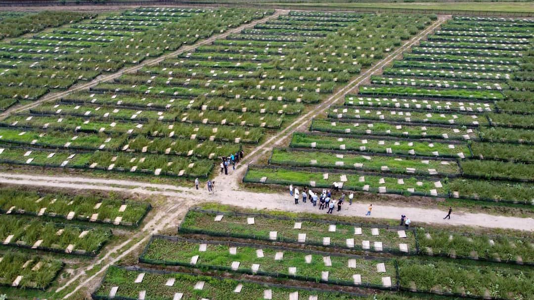 118635723_117194270108754_6919903617018772155_n