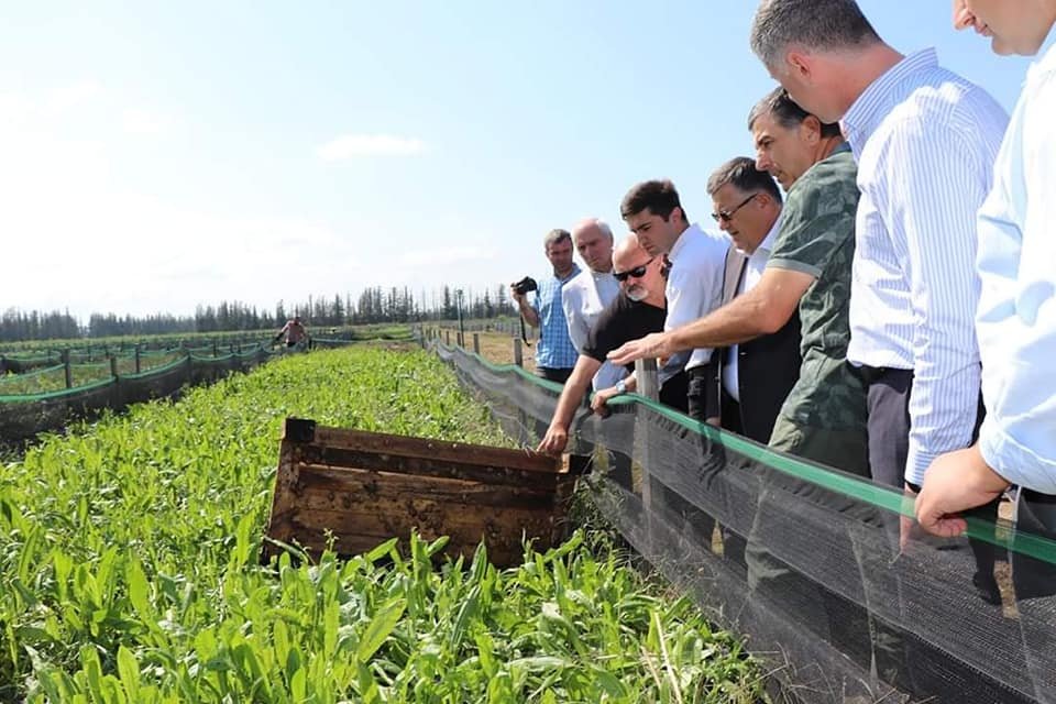 120271435_179639507197563_7599546459484533779_n