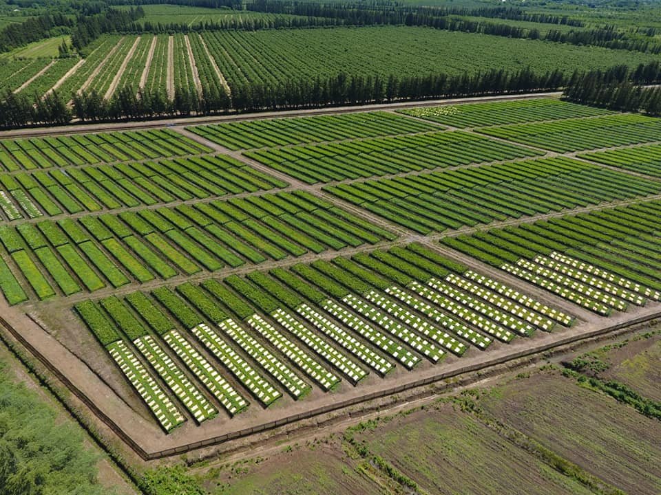 120314740_179639487197565_2217780629232446505_n