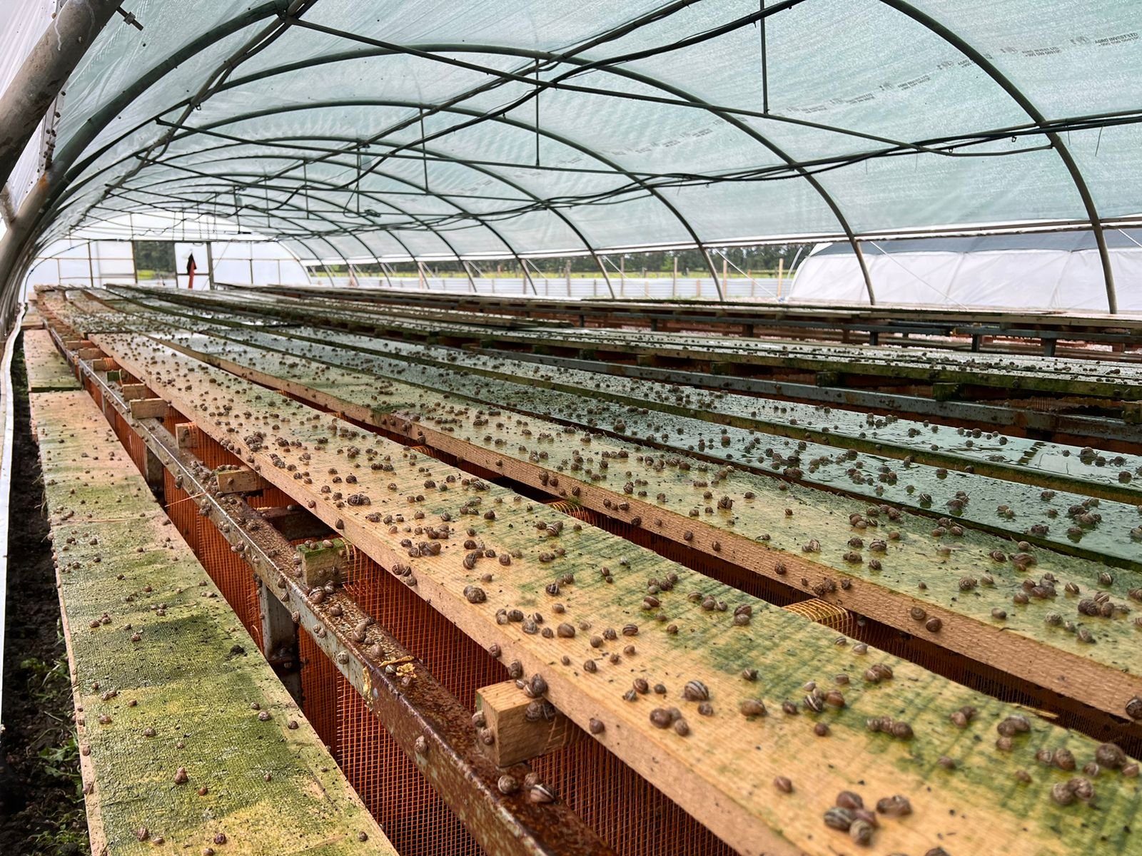 WhatsApp Image 2025-12-09 at 14.44.32_37f4c296