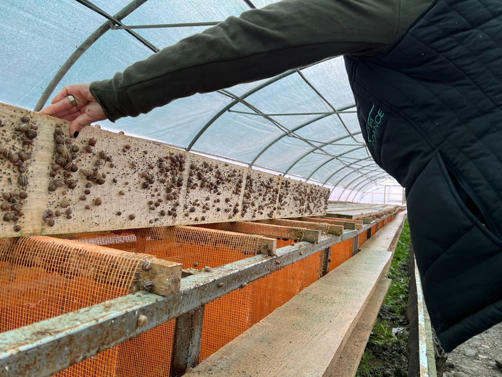 WhatsApp Image 2025-12-09 at 14.44.59_ed52ecbb