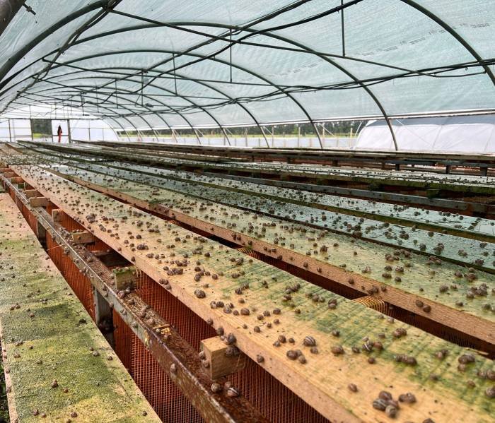 WhatsApp Image 2025-12-09 at 14.44.32_37f4c296